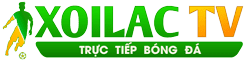 các tiktoker việt nam